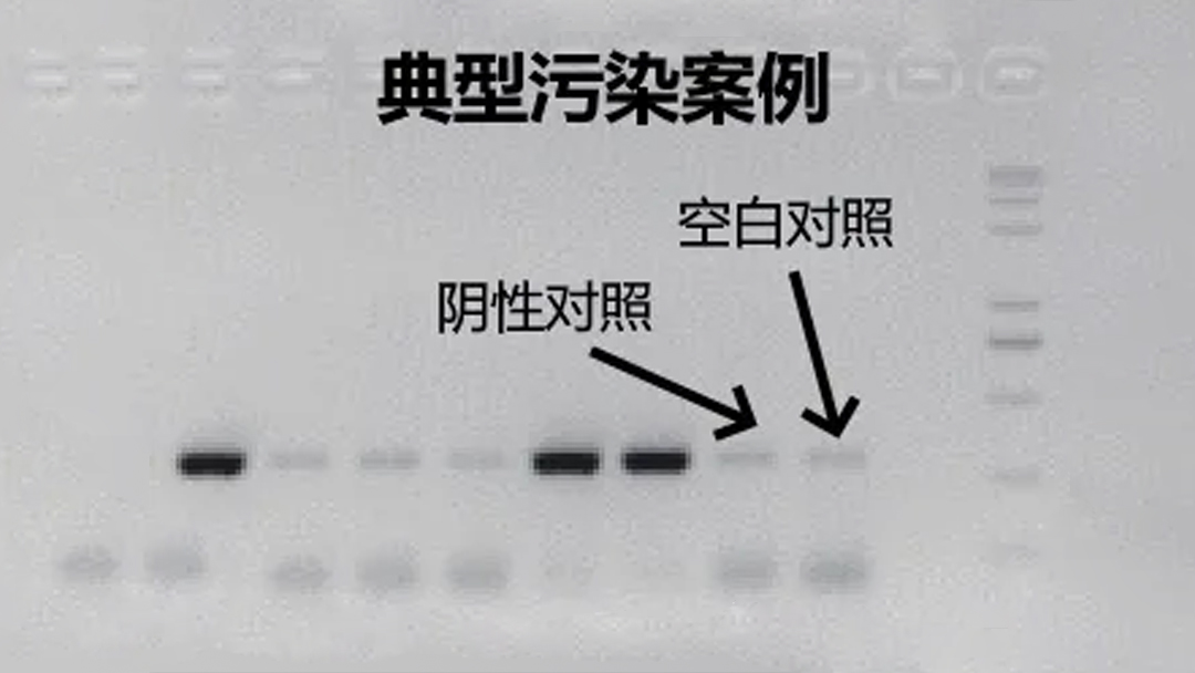 什麽昰(shi)氣(qi)溶膠污染？
