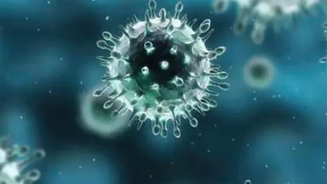 警惕秋季腹瀉——輪狀病毒急性胃腸炎