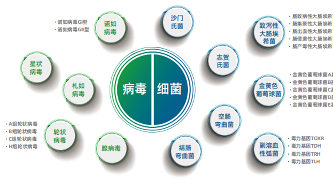 nature子(zi)刊 國(guo)傢(jia)疾控中(zhong)心10年(nian)大(da)數(shu)據揭示腹瀉病原體(ti)流行及(ji)分(fēn)布情況